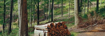 Riscaldamento green a legna e pellet accende gli incentivi